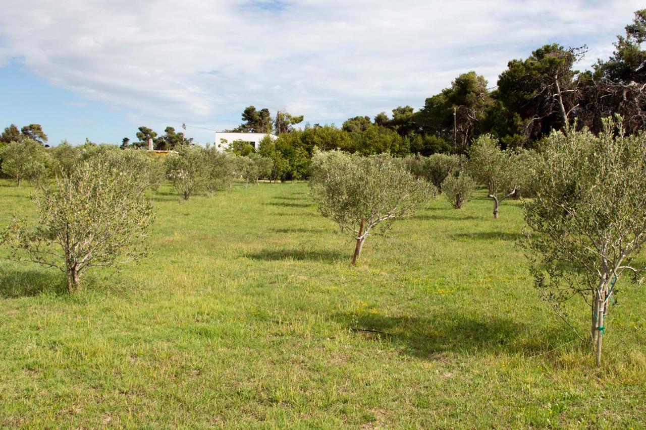 Villa Rosemary Park زادار المظهر الخارجي الصورة