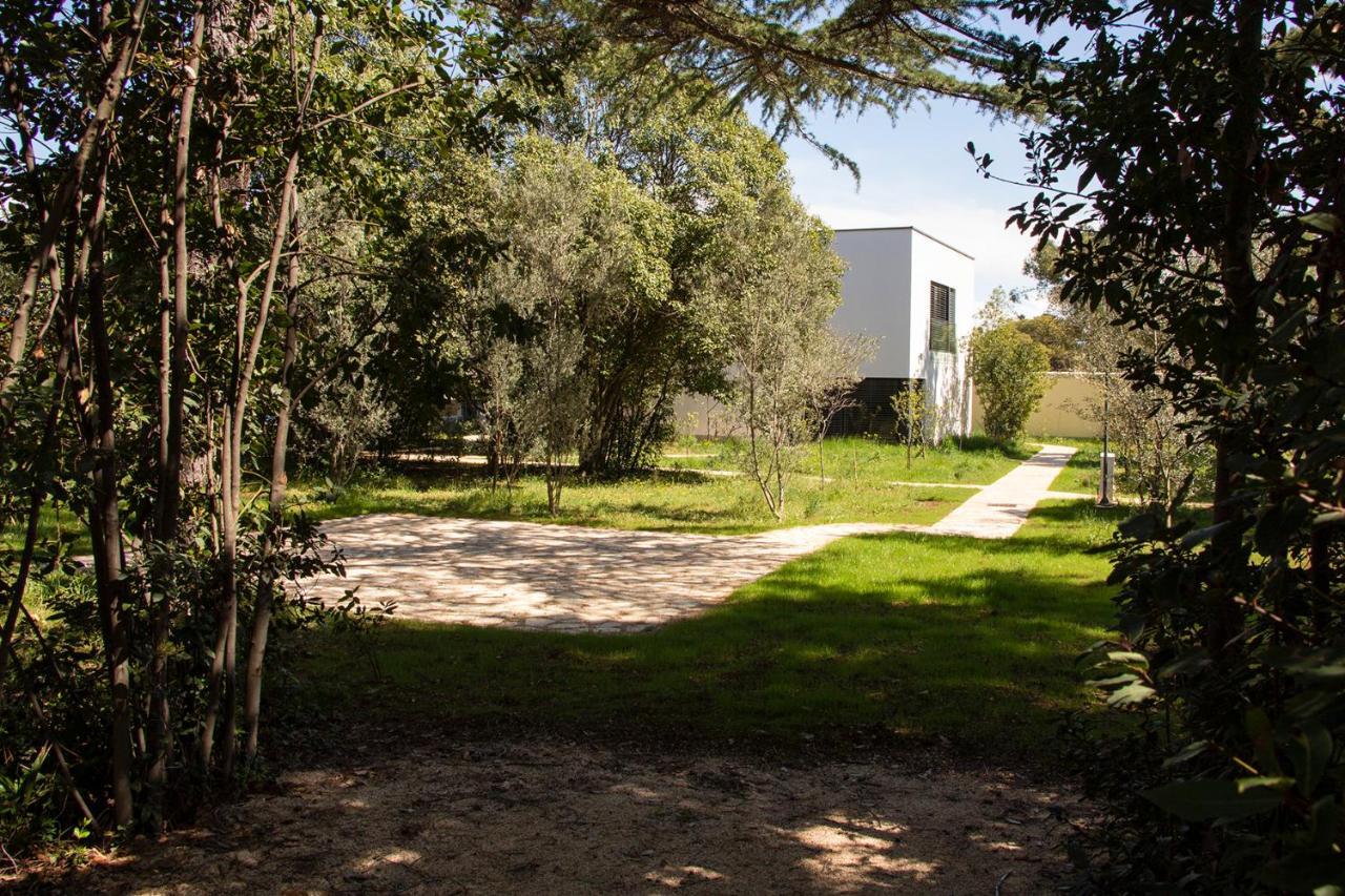 Villa Rosemary Park زادار المظهر الخارجي الصورة