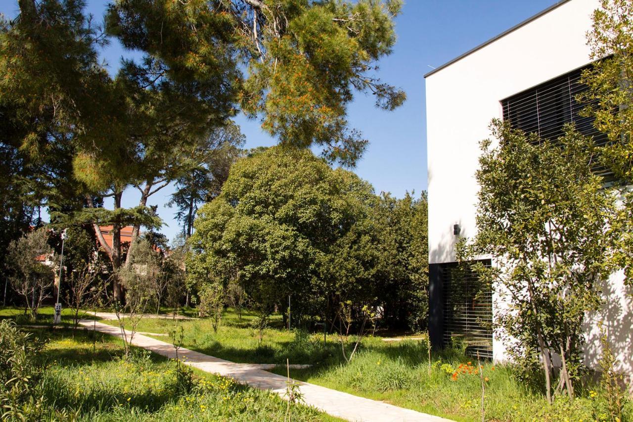 Villa Rosemary Park زادار المظهر الخارجي الصورة