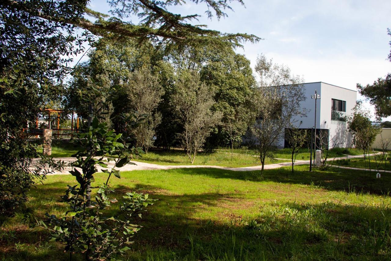 Villa Rosemary Park زادار المظهر الخارجي الصورة