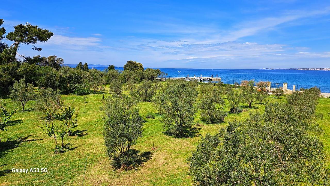 Villa Rosemary Park زادار المظهر الخارجي الصورة